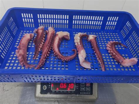 Frozen Squid Tentacle Strip Cut Giant Squid Tentacle Frozen Seafood China Squid And Seafood