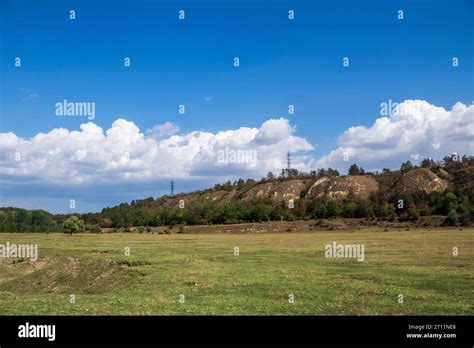 Wildlife Light Amazing Meadow Green Background Clean Colorful