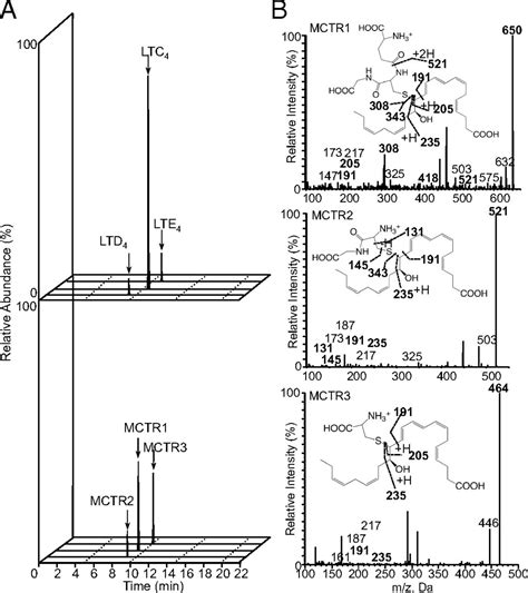 Maresin Conjugates In Tissue Regeneration Biosynthesis Enzymes In Human