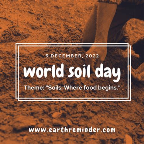 World Soil Day History Themes And Celebrations Earth Reminder