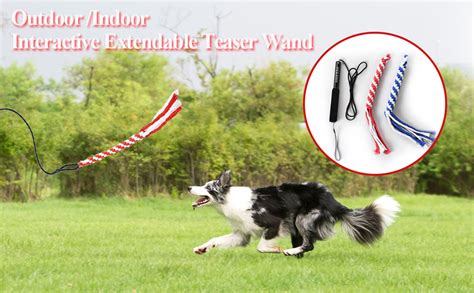 Asocea Flirt P Le Chien Baguette Teaser Extensible Pour Chien Jouet