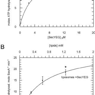 Steady State Analysis Of The Translocation Coupled Atpase Activity