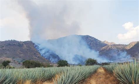 Reportan Avance De En Trabajos Para Sofocar Incendio En El Arenal