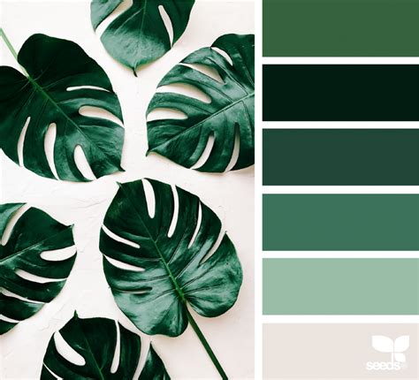 Botanical Hues Design Seeds Bloglovin Design Seeds Nature Color