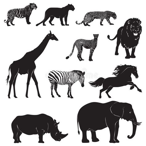 Set of Wild Animal Silhouettes. Vector Illustration Decorative Design ...