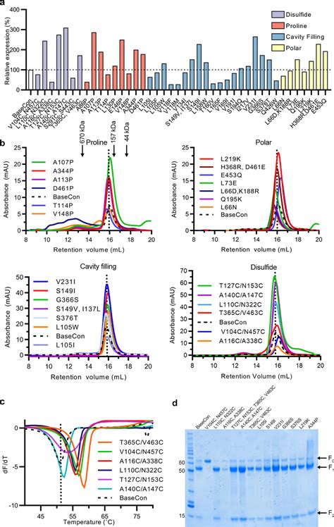 Characterization of individual hMPV F variants a Relative expression of ...