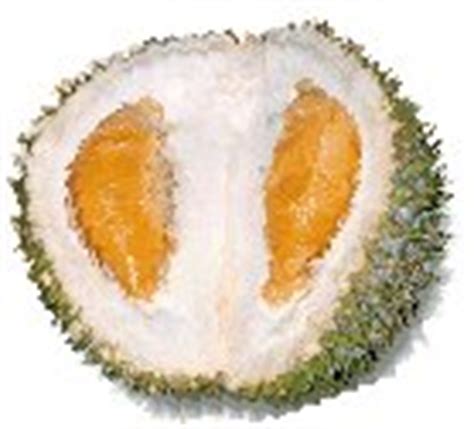 Top 8 Durian Fruit Nutrition facts and Health benefits