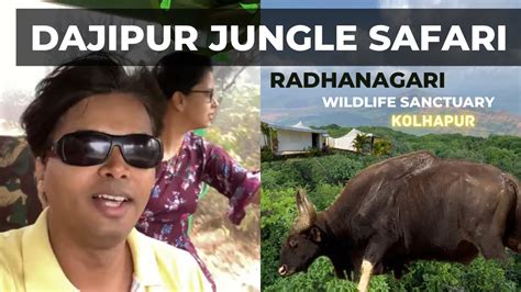 Radhanagari Wildlife Sanctuary Dajipur Jungle Safari Kolhapur Wild