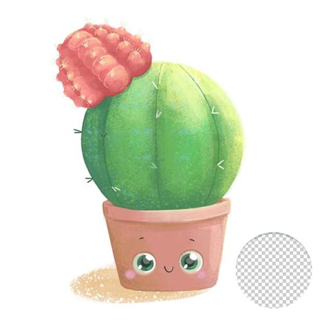 Cactus Fleur Mignon Dans Un Pot Isol Sur Fond Blanc Psd Premium