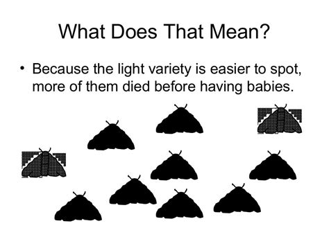 Evolution -the peppered moth presentation teacher version