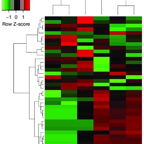 Hierarchical Clustering Heat Map Of The Differentially Expressed Download Scientific Diagram