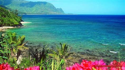 Hawaiian Beach, oceans, beaches, hawaii, flowers, nature, HD wallpaper ...