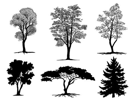 Black Branch Tree Or Naked Trees Silhouettes Hand Drawn Isolated