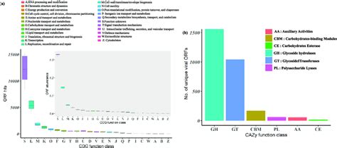 Distribution Of Auxiliary Metabolic Genes Amgs Relevant To The Carbon