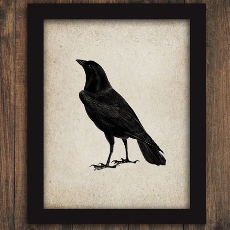 Crow Black Bird Raven Printable Digital Wall Art Diy Print And Etsy