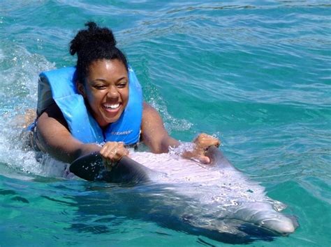 Dolphin Cove in Ocho Rios - A Jamaica Experience