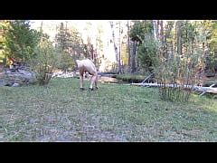 Naked Walk Along The Creek Xxx Mobile Porno Videos Movies Iporntv Net