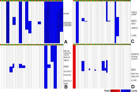 Somatic Copy Number Alternations Of Cdkn2ab Pax5 Ikzf1 And Ebf1