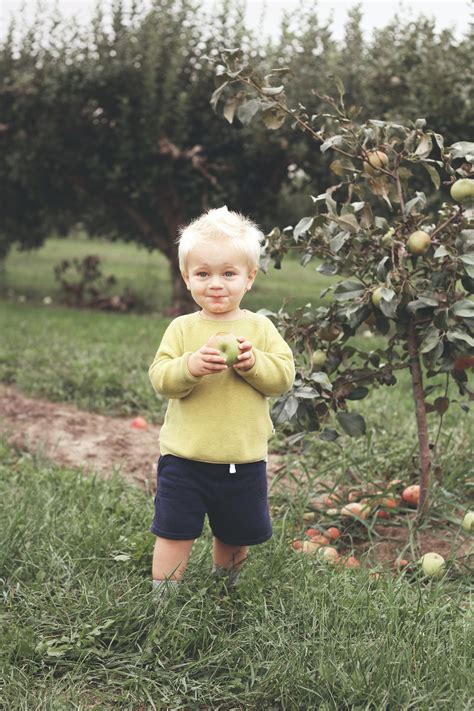 Images Gratuites Enfant La Nature Vert Plante Herbe Arbre