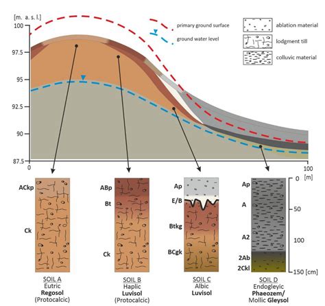 An Erosion Catena Within The Orzechowo Experimental Plot Download