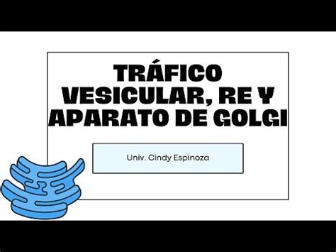 SEMANA 6 A TRÁFICO VESICULAR RER REL Y APARATO DE GOLGI BIOLOGÍA