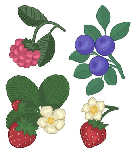 Premium Vector Spring Berries Clipart Set Doodles Of Strawberry