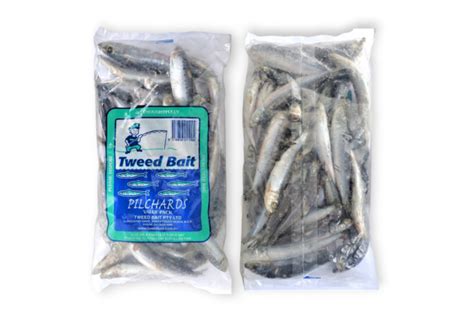 Pilchards Bait Fishman Foods