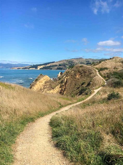 16 Great Stops on the Drive from Christchurch to Dunedin