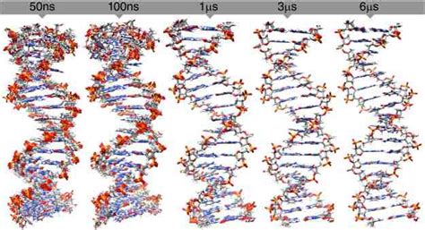 Molecular Graphics Of Representative Structures From Clustering Of