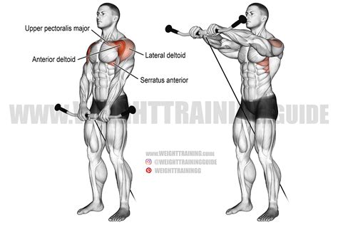 Cable front raise exercise instructions and video | Weight Training Guide