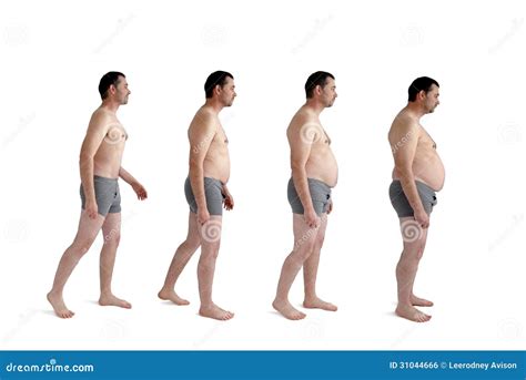 Male Weight Gain Progression