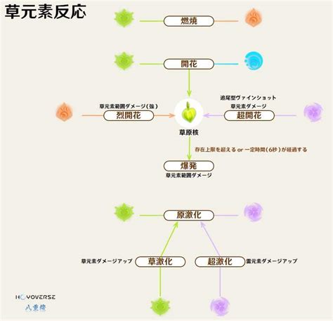 Ver30 草元素反応について Genshin Impact Hoyolab