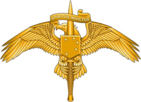 New Uniform Insignia for MARSOC Marines | Defense Media Network