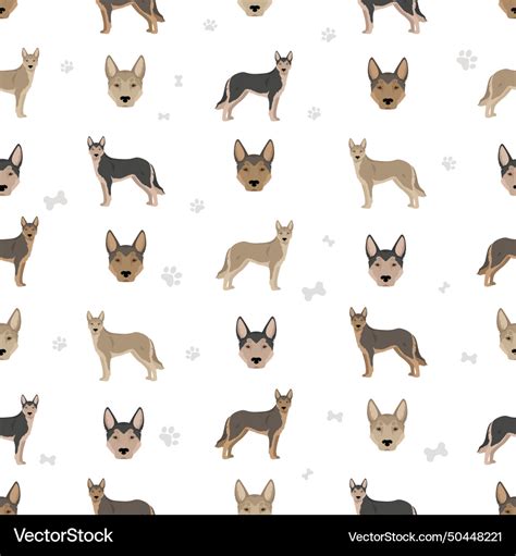 Lupo italiano seamless pattern different coat Vector Image