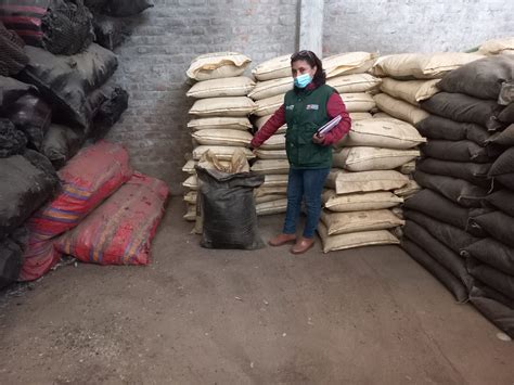 Piura Agro Rural Comercializa Primer Lote De Toneladas De Guano De