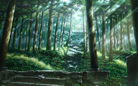 Anime Background Scenery Forest