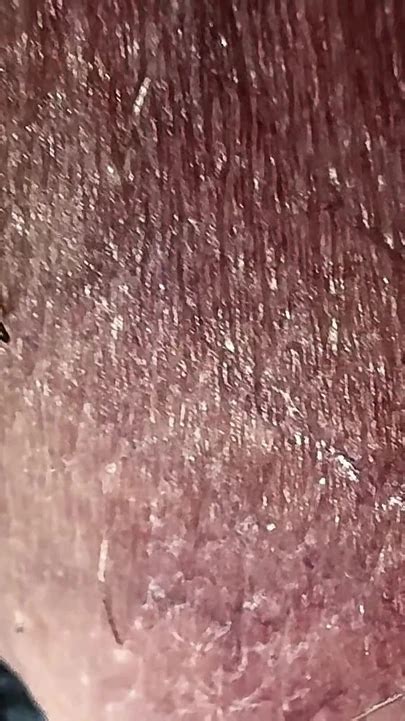 Massage Eggs Until The End Gay Man Man Porn Feat Leonardo By