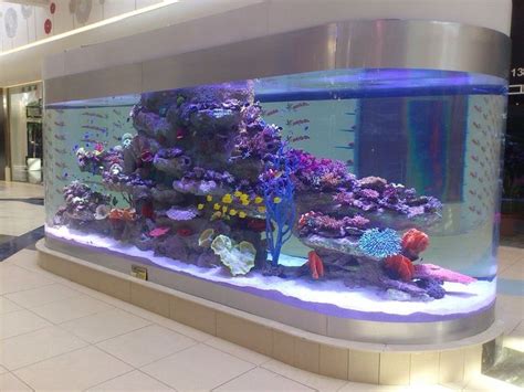 Pin by Suche Was on Big aquarium | Aquarium decorations, Aquarium ...