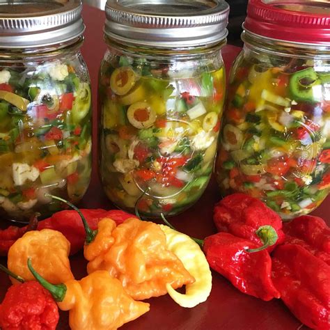 Hot Italian Giardiniera Canning Recipe | Bryont Blog