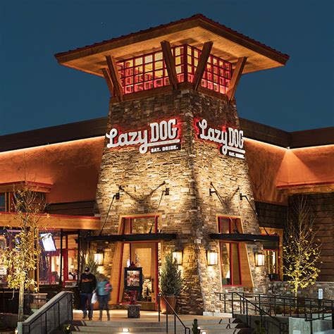 Lazy Dog Restaurants, LLC