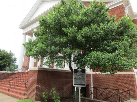 First Baptist Church Of Nacogdoches Historical Marker