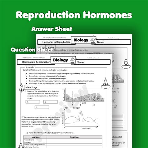 Reproduction Hormones Home Learning Worksheet Gcse Uk