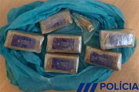 Mochila Abandonada Em Escola No Porto Tinha 1260 Doses De Haxixe