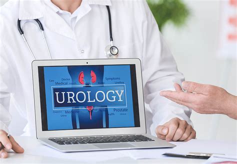 When Should You See A Urologist What To Know University Urology