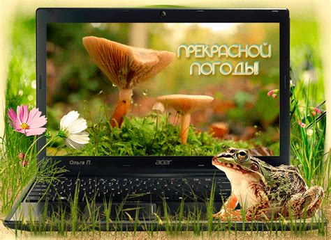 Прекрасной погоды - Мир картинок анимаций