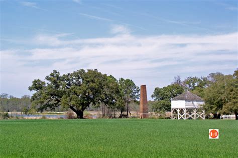 Mansfield Plantation - Georgetown County