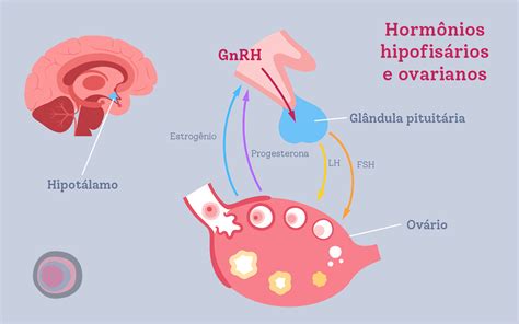 GnRH saiba o que é