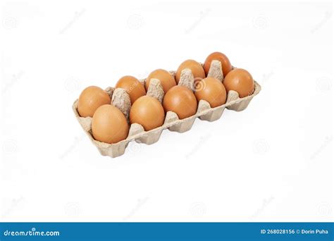 10 Eggs Carton Pack Isolated On White Stock Photo Image Of Animal