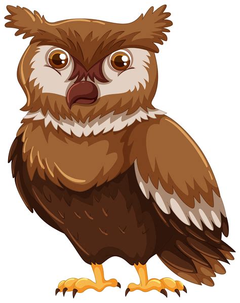 Hibou Dessin Anime