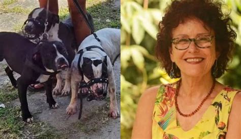 Escritora Roseana Murray Atacada Por Pitbulls O Que Diz A Lei Sobre